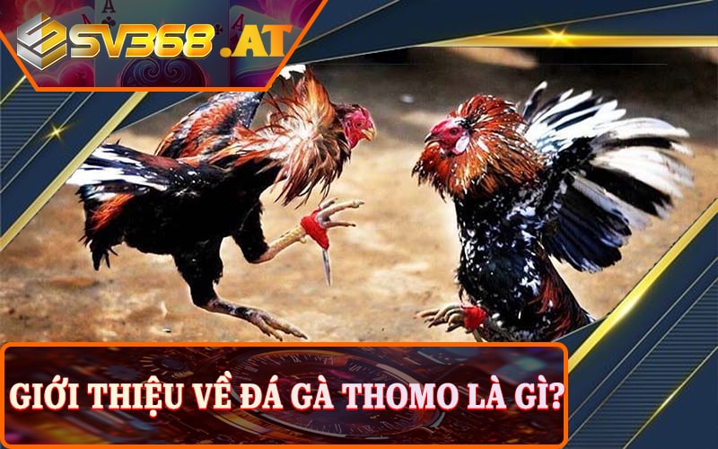 Giới thiệu về sv368 thomo.com